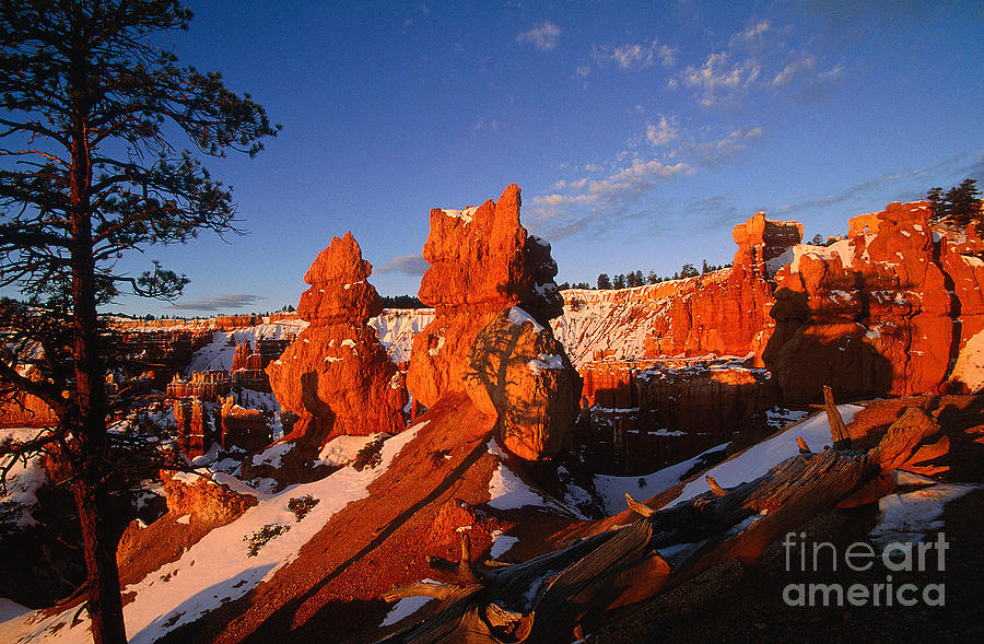 Bryce Canyon National Park In Winter Photograph by Adam Sylvester