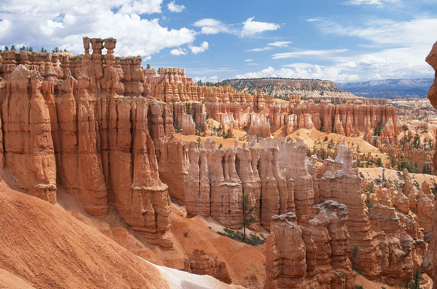 Bryce Canyon National Park Photograph by James Steinberg