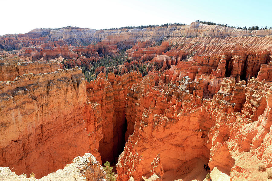 Bryce Canyon National Park - Utah, U.S.A. Photograph by Richard Krebs