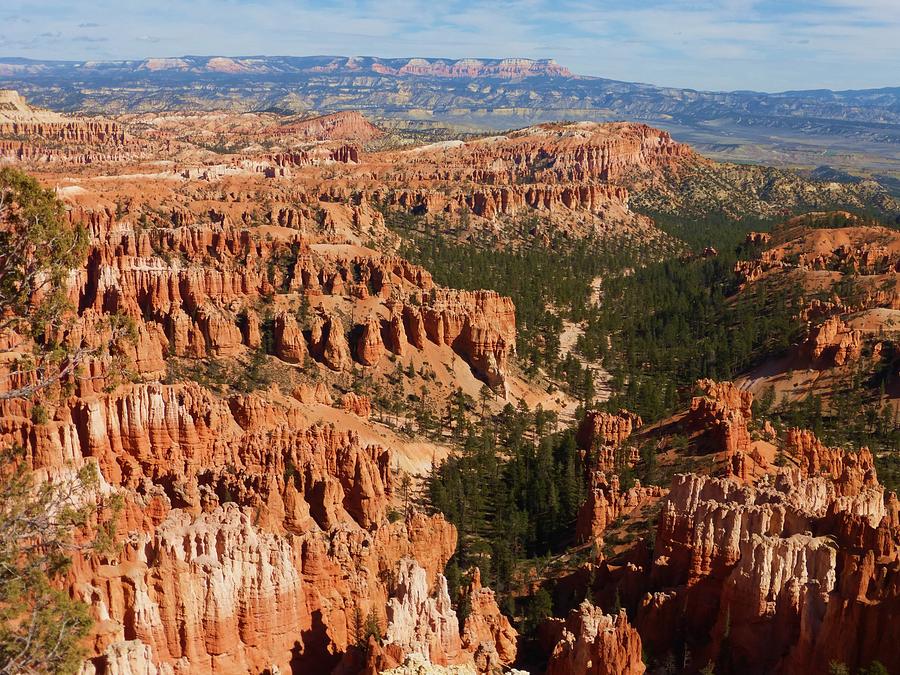 National Parks Photograph - Bryce Canyon National Park by Susan Rolle