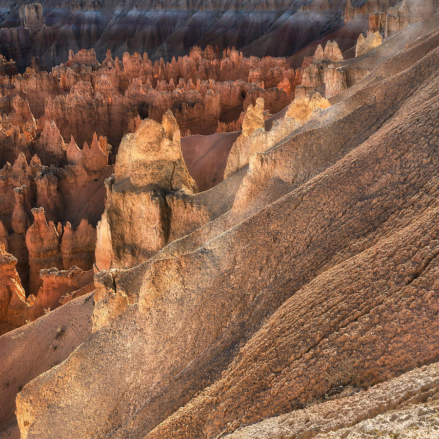 Bryce Canyon Overlook Photograph by Gary Warnimont