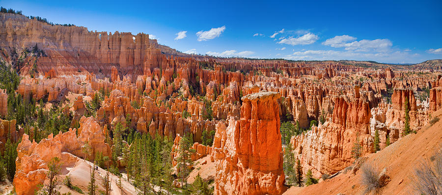 Bryce Canyon Panorama Photograph by Alexey Stiop
