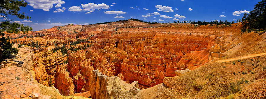 Bryce Canyon Panorama Photograph by Greg Norrell