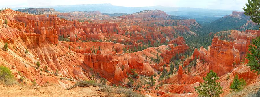 Bryce Canyon Panorama Photograph by Georgia Clare