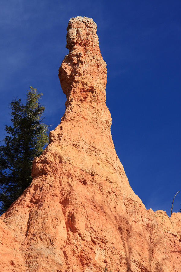 Bryce Canyon Pillar Photograph by Aidan Moran