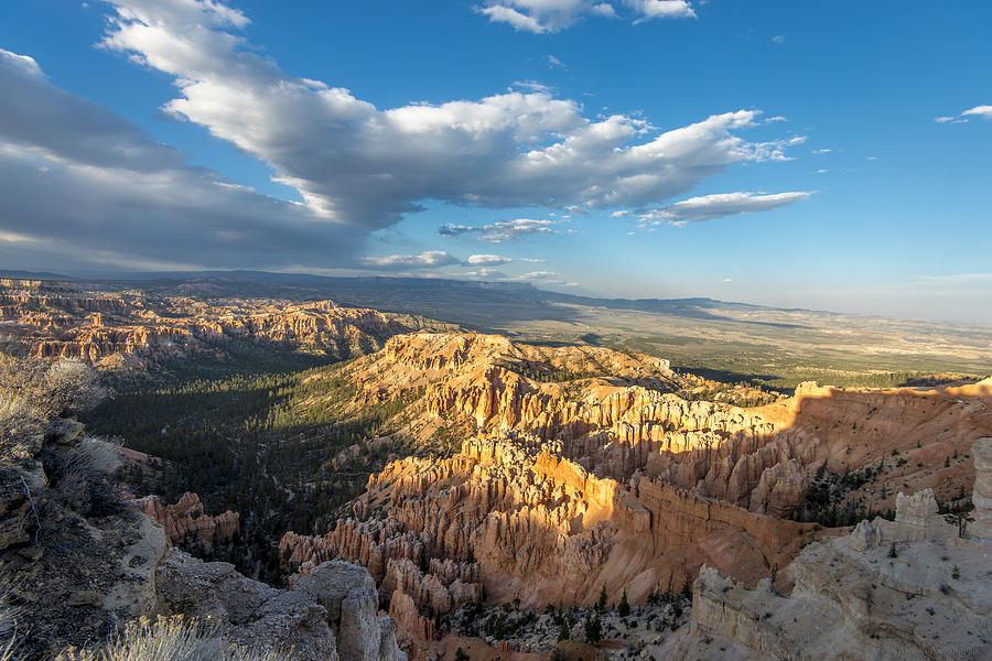 Bryce Canyon Point Photograph by Phil Abrams