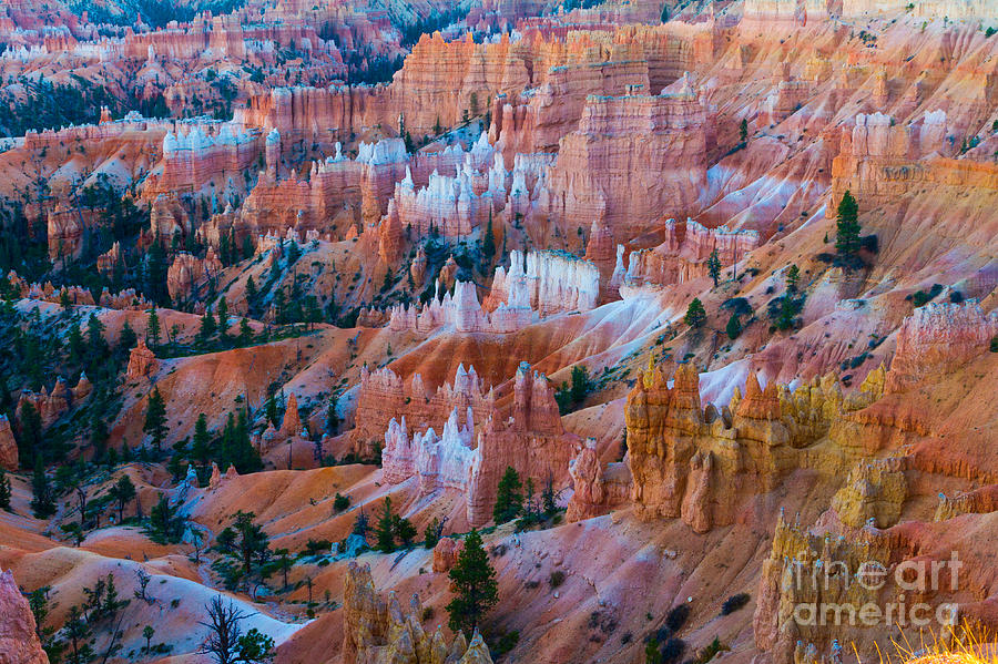 Bryce Canyon Queens Garden from Sunrise Point 3 Photograph by Dan Hartford