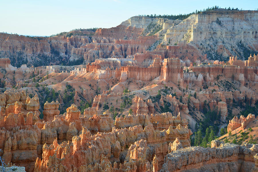Bryce Canyon Photograph by Ray Mathis