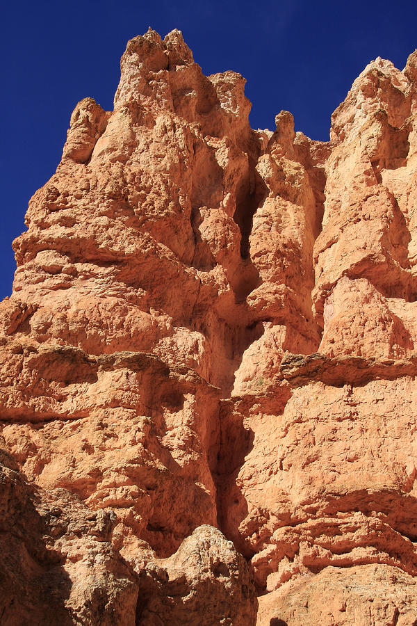 Bryce Canyon Red Rock Photograph by Aidan Moran