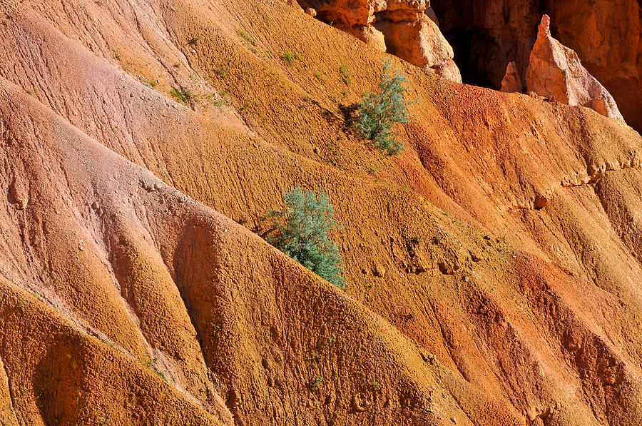 Bryce Canyon Ribbon Rocks Photograph by Ginger Wakem