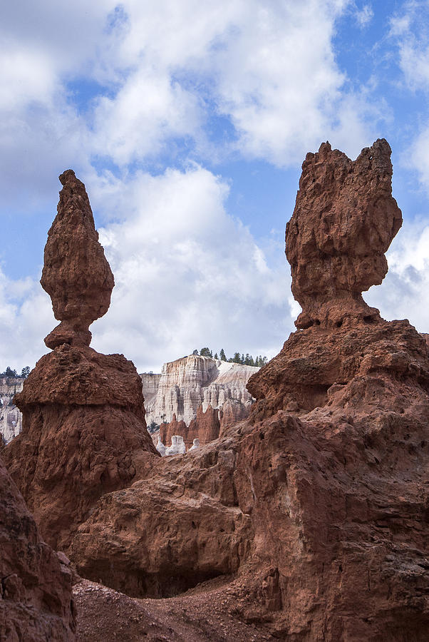 Bryce canyon scluptures Photograph by Arkady Kunysz