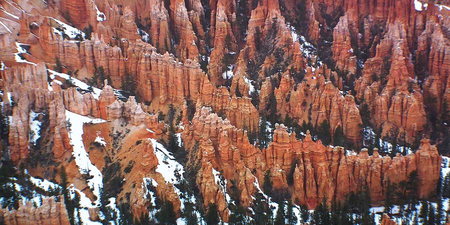 Bryce Canyon Series Nbr 20 Photograph by Scott Cameron