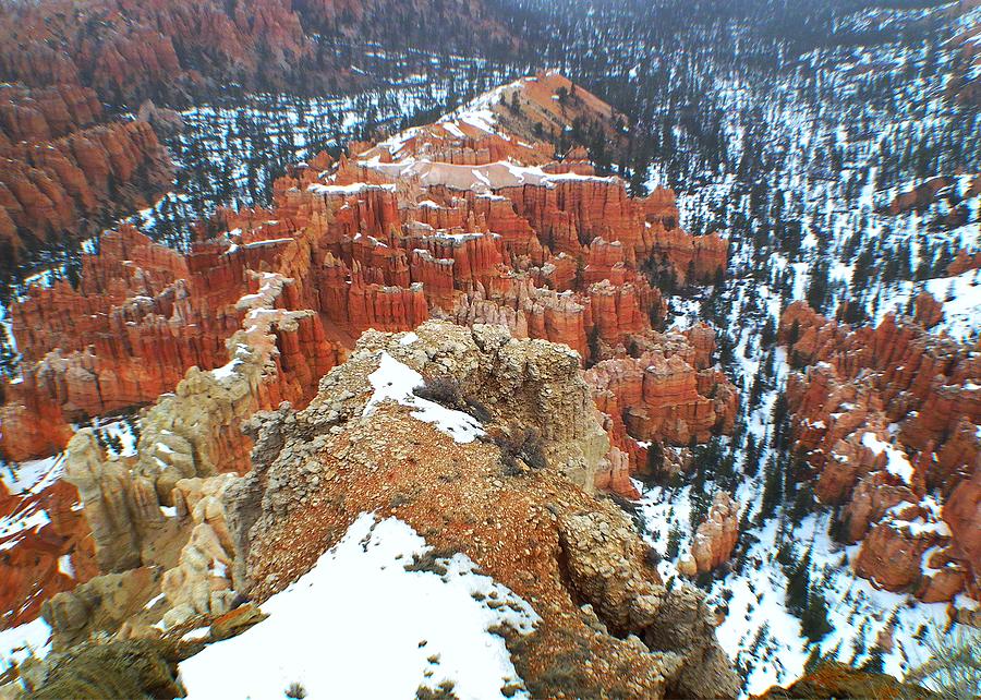 Bryce Canyon Series Nbr 21 Photograph by Scott Cameron