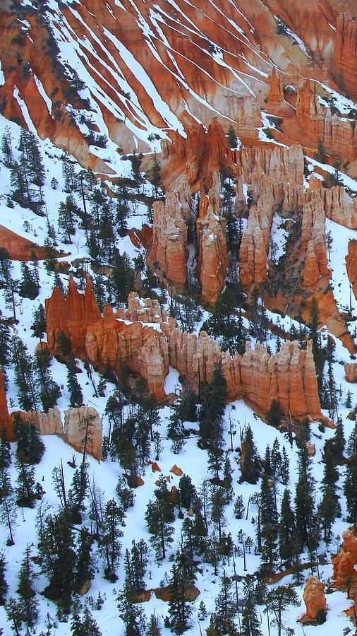 Bryce Canyon Series Nbr 22 Photograph by Scott Cameron