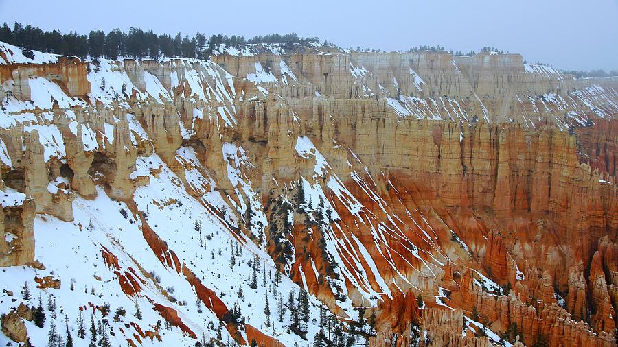 Bryce Canyon Series Nbr 28 Photograph by Scott Cameron