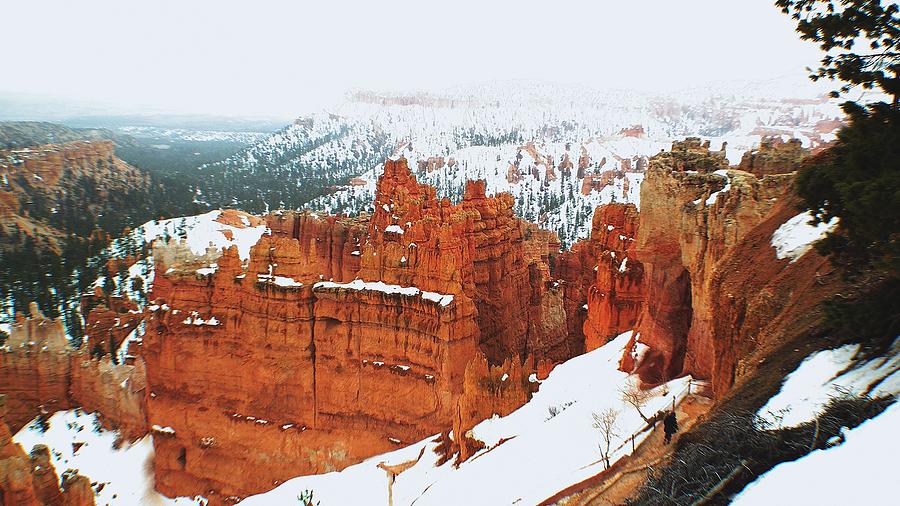 Bryce Canyon Series Nbr 30 Photograph by Scott Cameron