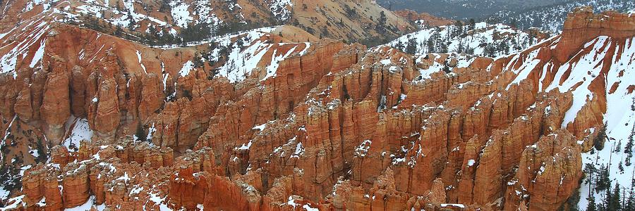 Bryce Canyon Series Nbr 33 Photograph by Scott Cameron
