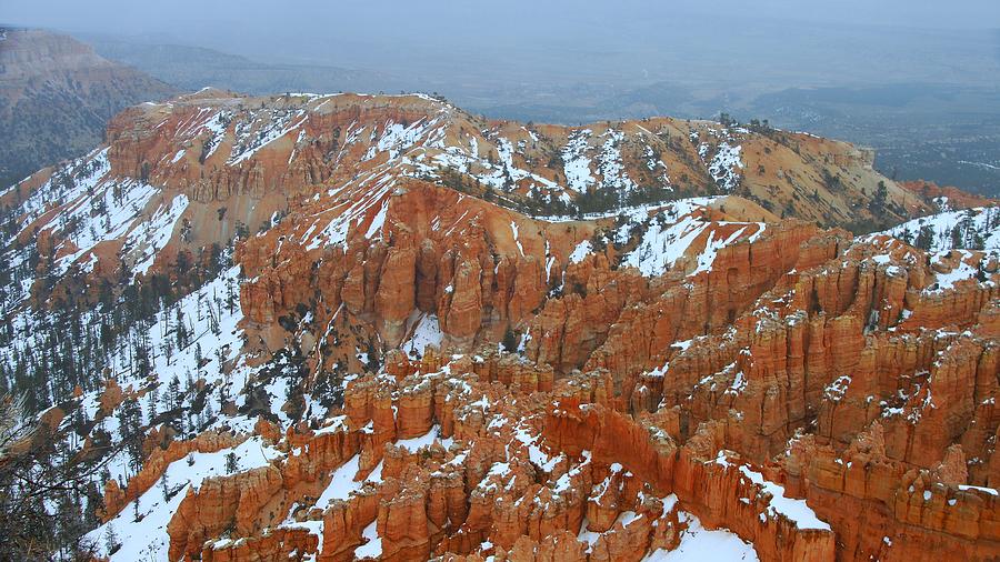 Bryce Canyon Series Nbr 34 Photograph by Scott Cameron