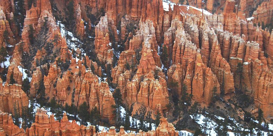 Bryce Canyon Series Nbr 36 Photograph by Scott Cameron