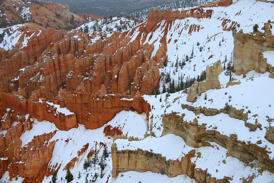 Bryce Canyon Series Nbr 37 Photograph by Scott Cameron
