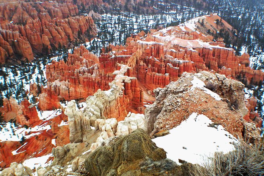 Bryce Canyon Series Nbr 40 Photograph by Scott Cameron