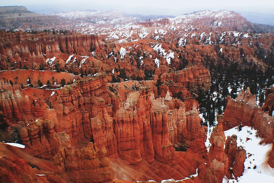 Bryce Canyon Series Nbr 46 Photograph by Scott Cameron