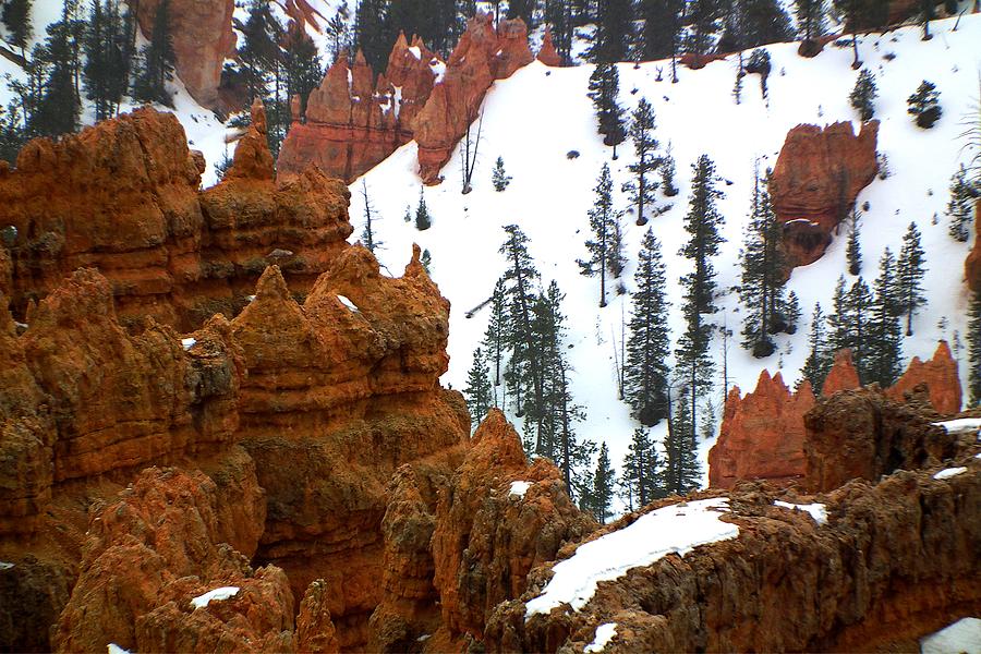 Bryce Canyon Series Nbr 47 Photograph by Scott Cameron