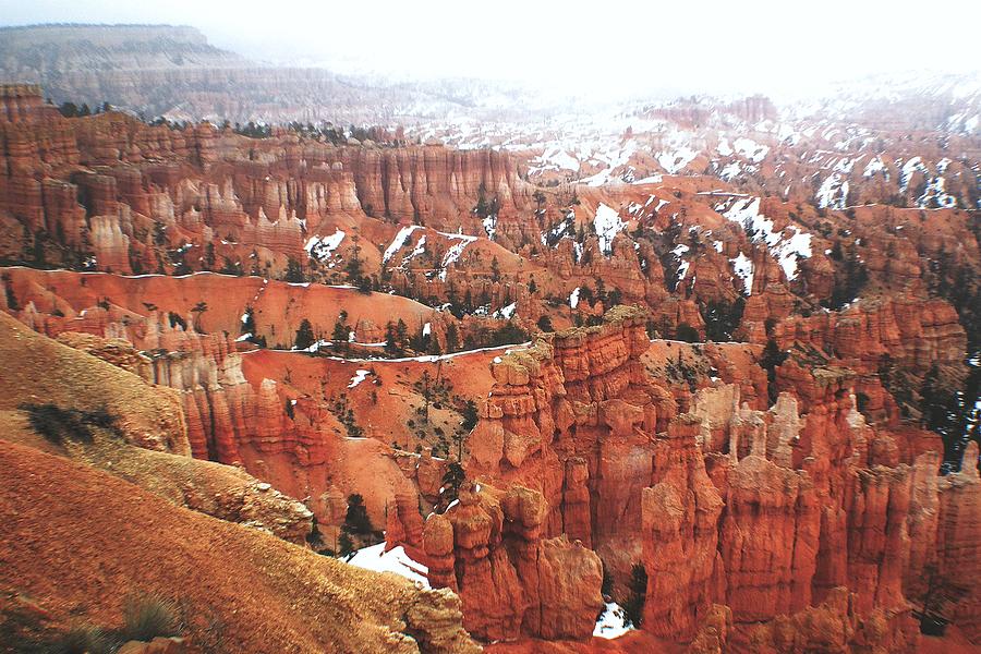 Bryce Canyon Series Nbr 49 Photograph by Scott Cameron