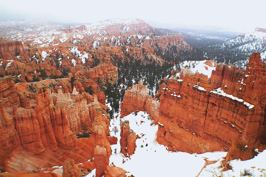 Bryce Canyon Series Nbr 51 Photograph by Scott Cameron