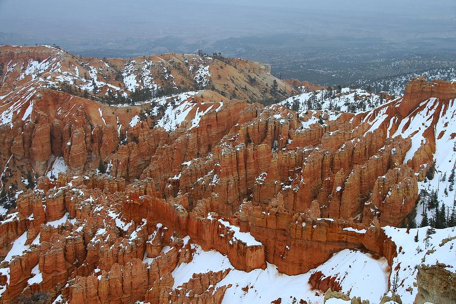 Bryce Canyon Series Nbr 53 Photograph by Scott Cameron