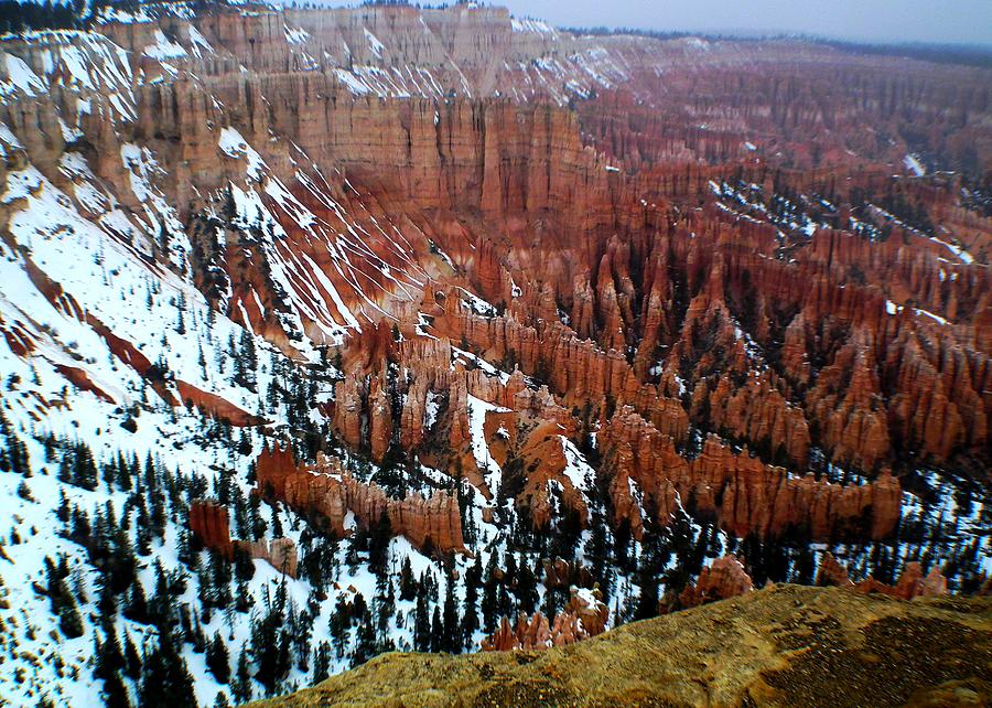 Bryce Canyon Series Nbr 54 Photograph by Scott Cameron
