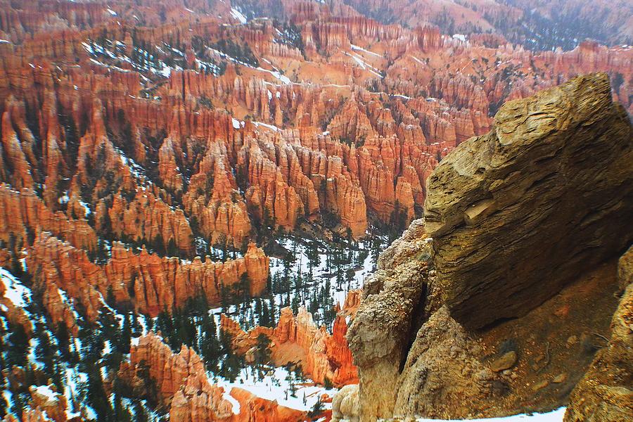 Bryce Canyon Series Nbr 55 Photograph by Scott Cameron
