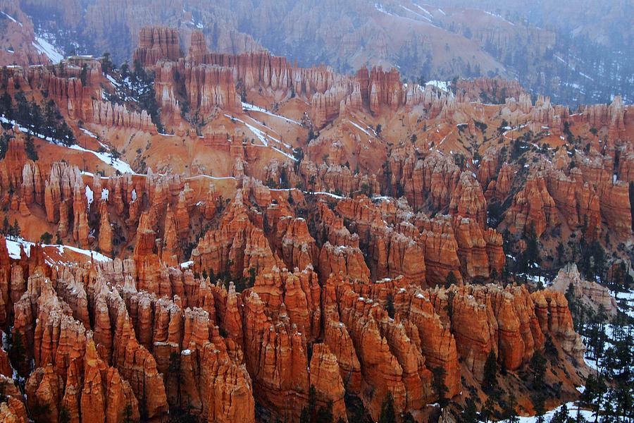 Bryce Canyon Series Nbr 56 Photograph by Scott Cameron
