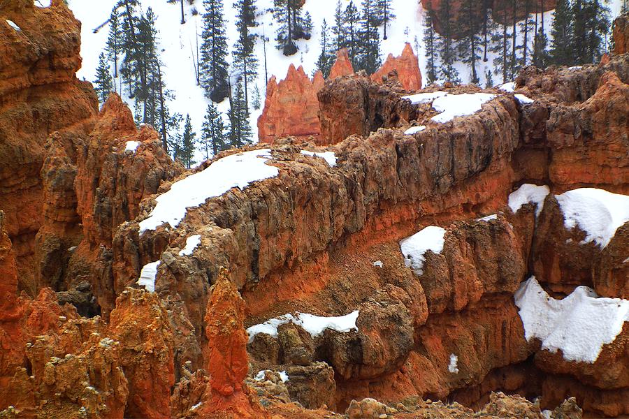 Bryce Canyon Series Nbr 57 Photograph by Scott Cameron