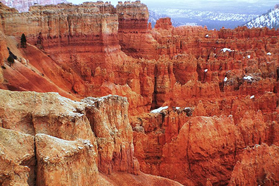 Bryce Canyon Series Nbr 60 Photograph by Scott Cameron