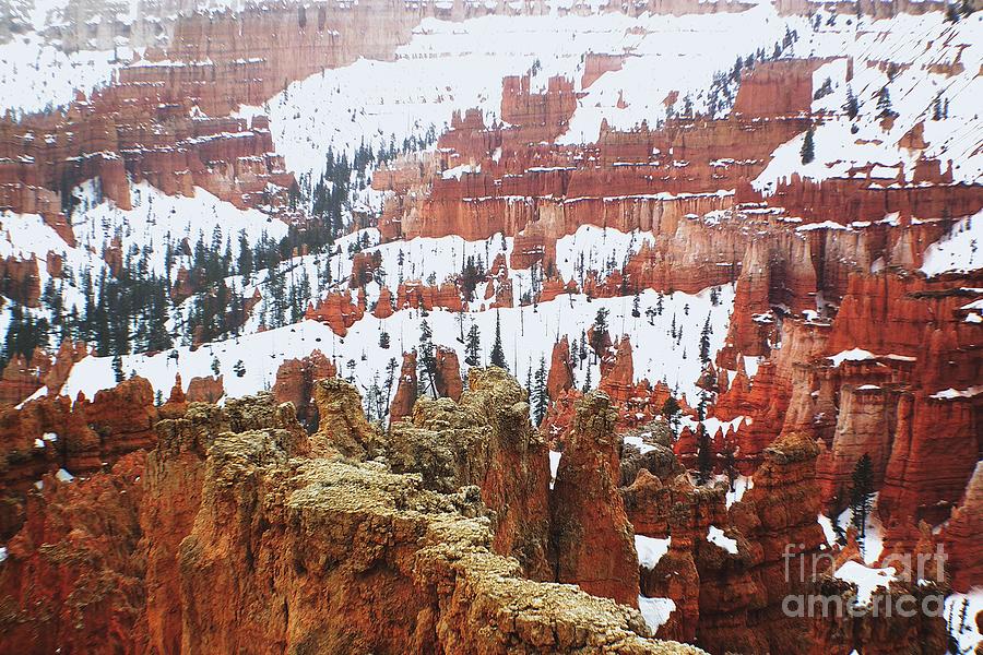 Bryce Canyon Series Nbr 61 Photograph by Scott Cameron