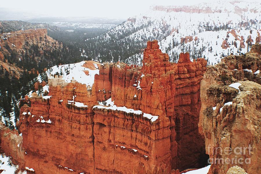 Bryce Canyon Series Nbr 62 Photograph by Scott Cameron