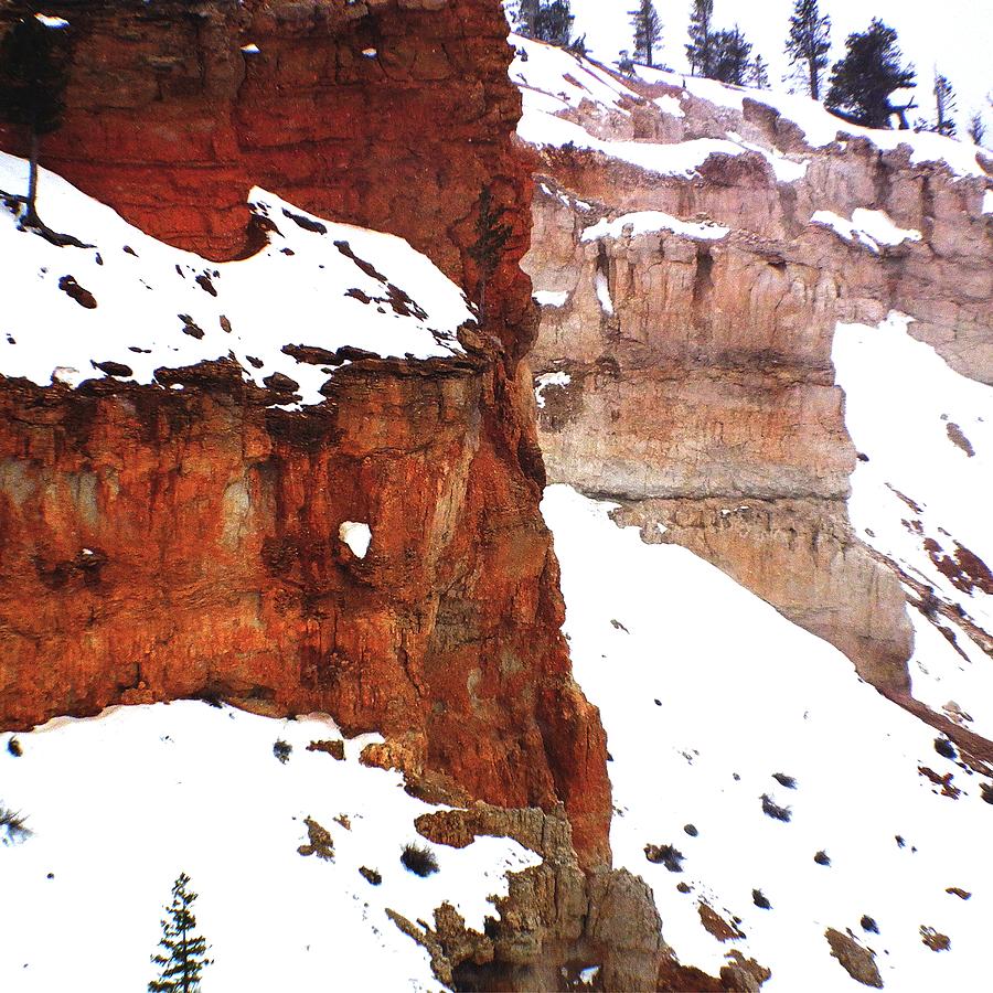 Bryce Canyon Series Nbr 64 Photograph by Scott Cameron