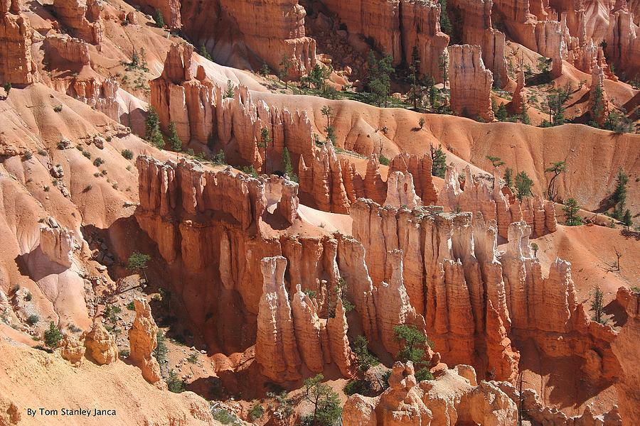Bryce Canyon Small Spot Photograph by Tom Janca