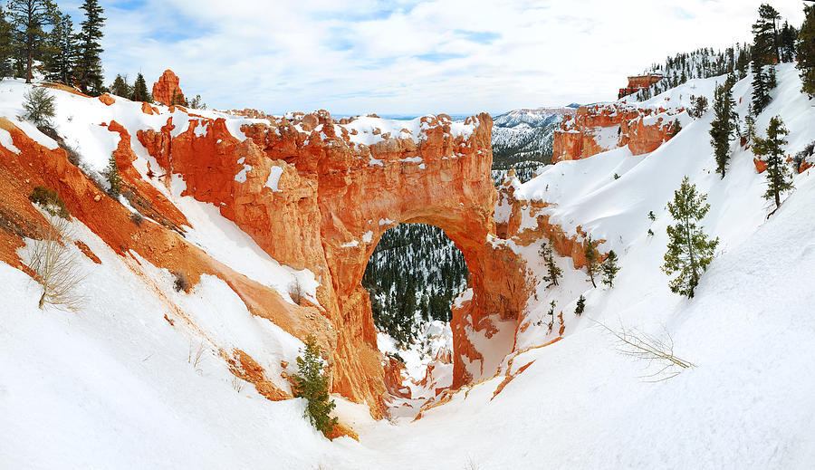 Bryce canyon Photograph by Songquan Deng