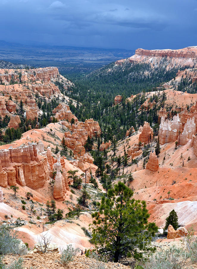 Bryce Canyon Storm Photograph by Gary Whitton