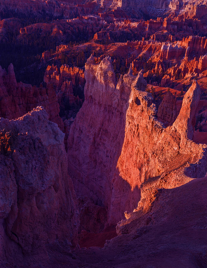 Bryce Canyon Sunrise Photograph by Vishwanath Bhat