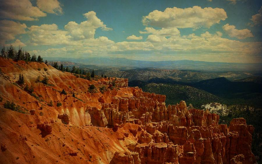 Bryce Canyon  Photograph by Terry Eve Tanner
