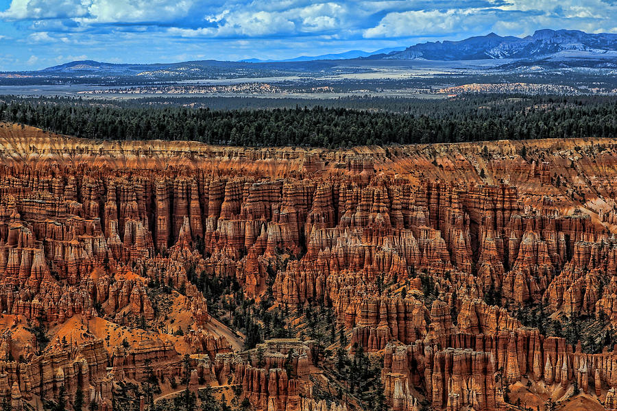 Bryce Canyon Photograph by Tom Prendergast