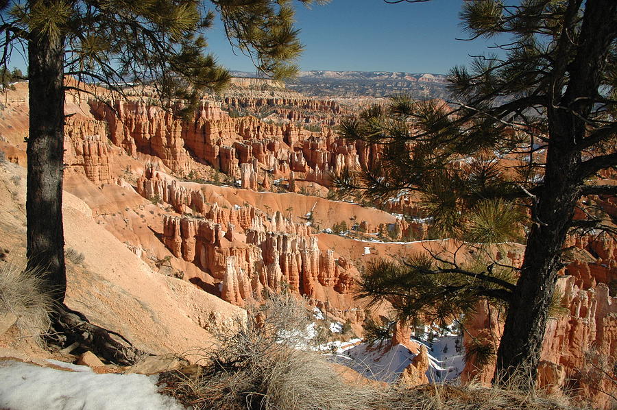 Bryce Canyon UT -2 Photograph by Dennis Rundlett - Fine Art America