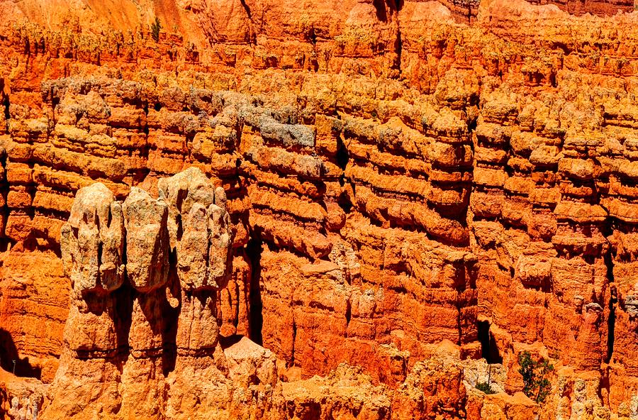 Bryce Canyon - Utah Photograph by Bruce Friedman