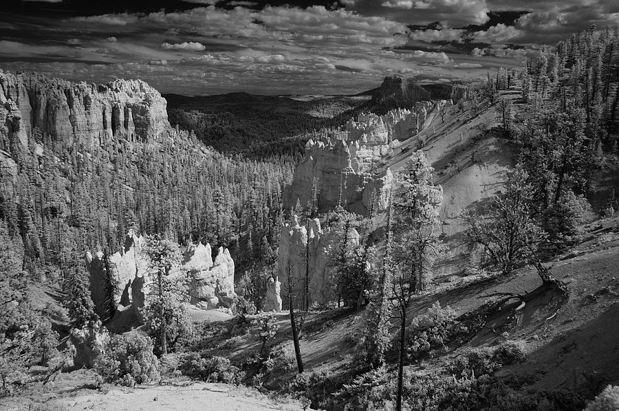 Black And White Photograph - Bryce Canyon Utah by Doug Farmer
