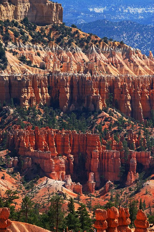 Bryce Canyon Utah Photograph by Tom Janca
