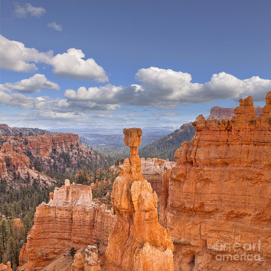 Spring Photograph - Bryce Canyon Utah USA by Colin and Linda McKie
