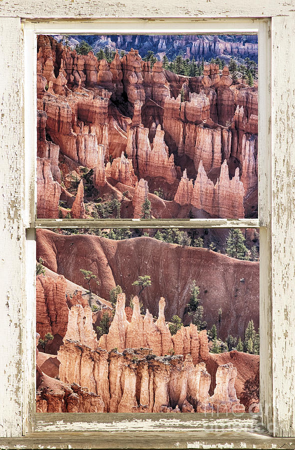 Bryce Canyon Utah View Through A White Rustic Window Frame Photograph by James BO Insogna